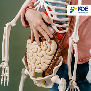     Las partes del cuerpo en inglés